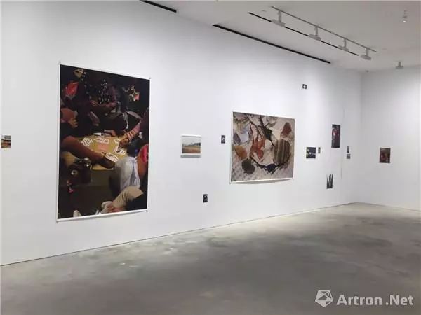 从分散到聚合:香港画廊前行的艰辛与荣耀