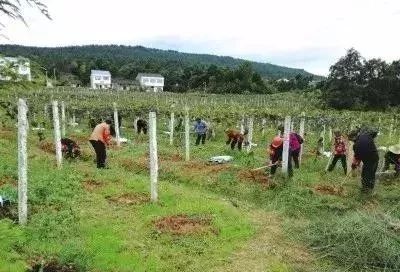 剑阁县汉阳镇顺风村