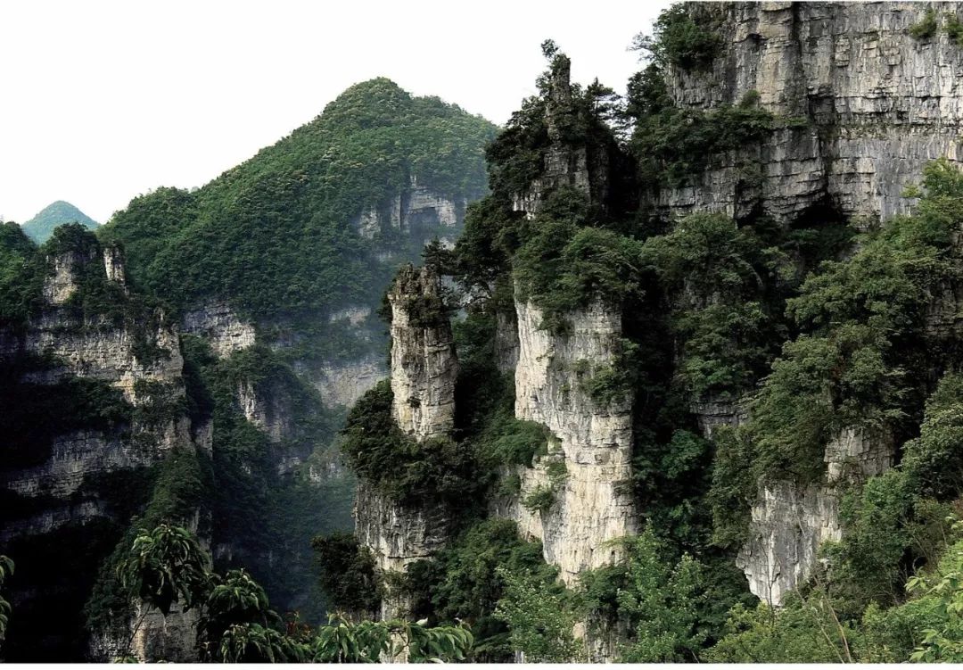 【推荐】贵州大方县油杉河景区