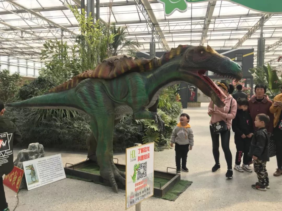免费送票!清明小长假恐龙主题公园重磅来袭青岛热带雨林植物园!