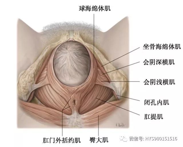 外阴伤怎么办