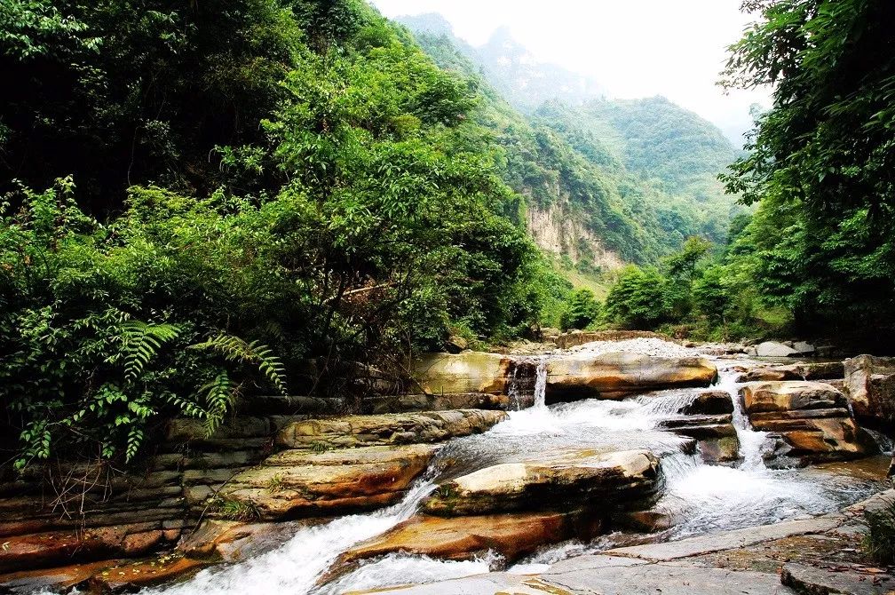 【推荐】贵州大方县油杉河景区