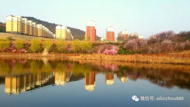 林州:龙湖花开俏枝头,让你不出市区踏春赏景!