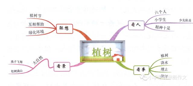 当然,画好了思维导图,整个写作思路已经很清晰了. 植树的季节到了.