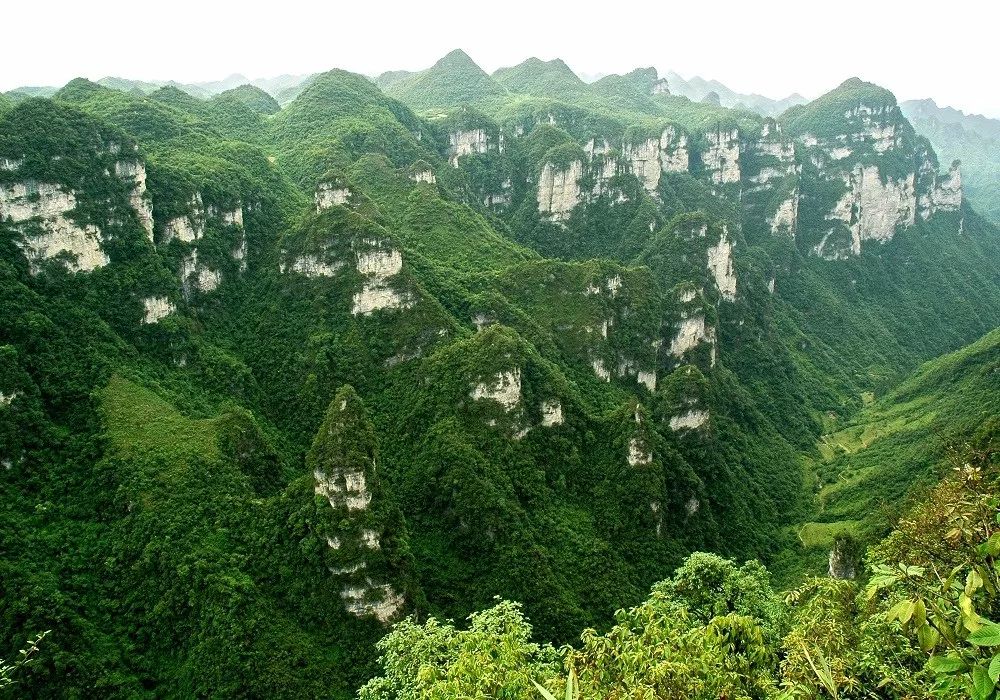 【推荐】贵州大方县油杉河景区