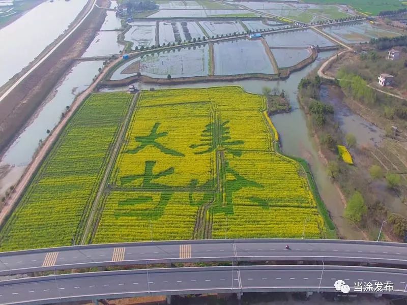 结合各地历史文化习俗,黄池镇,南圩等区域设立了观光景点8个.