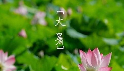 《小暑六月节》元稹竹喧先觉雨,山暗已闻雷.