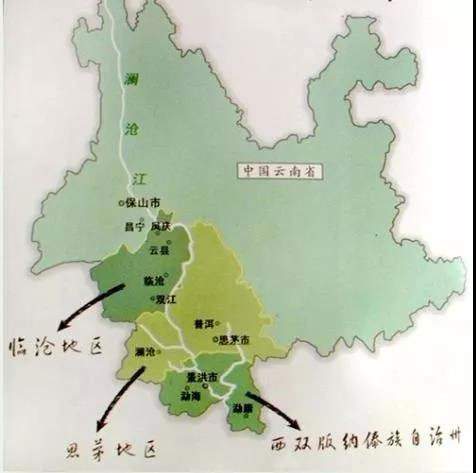 在生产普洱茶的云南省,有四大茶区,六大茶山,十大古树普洱茶山头等图片