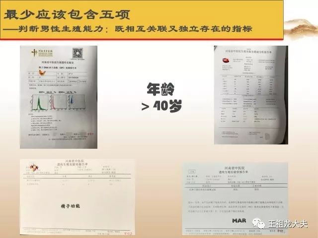 王祖龙教授精子dna损伤的中西医治疗策略
