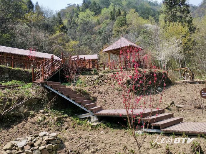 桃花栈道人造景,游人寥寥无人吟.