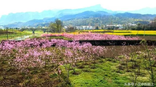 宁强后花园高寨子,从起点美到终点!