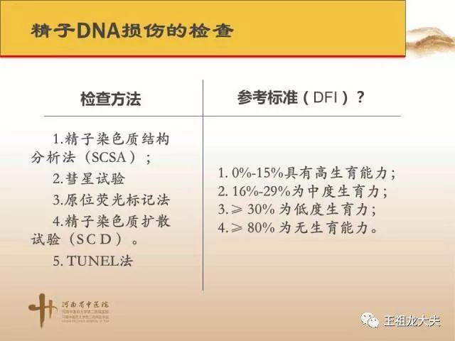 王祖龙教授精子dna损伤的中西医治疗策略