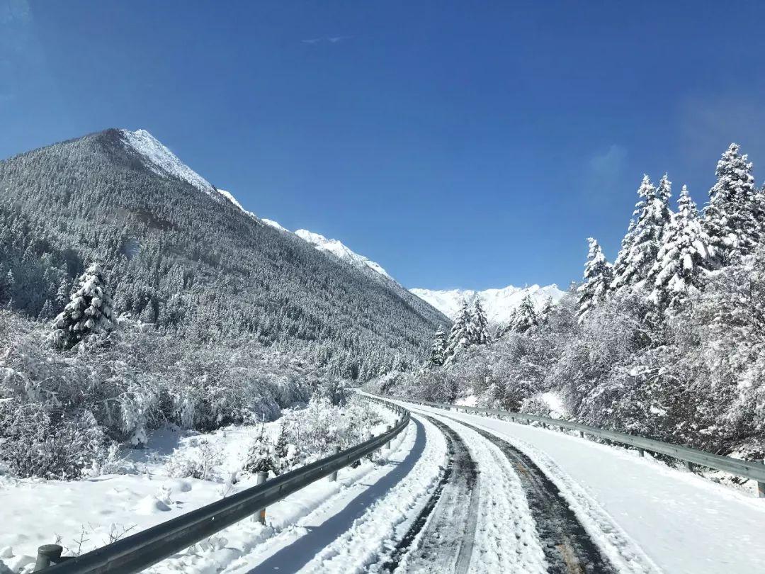 这绝对是春天最美的一场雪,惊艳了整个四川!