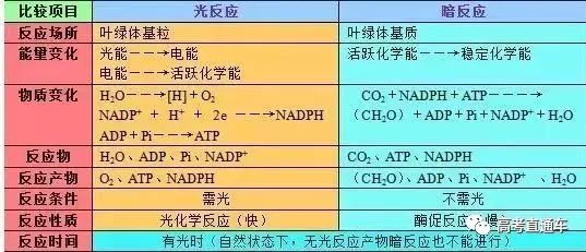 人口基数大人口增长快的影响_中国人口基数大图片(3)