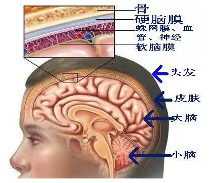 陈一新调任中央政法委委员,秘书长:武汉是我心中最深的烙印