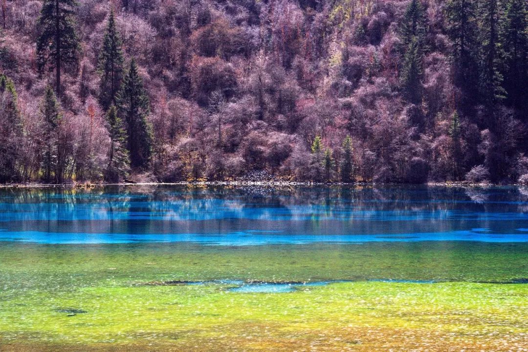 旅游 正文  长海是九寨沟景区内海拔最高,湖面最宽的海子,是在地震中