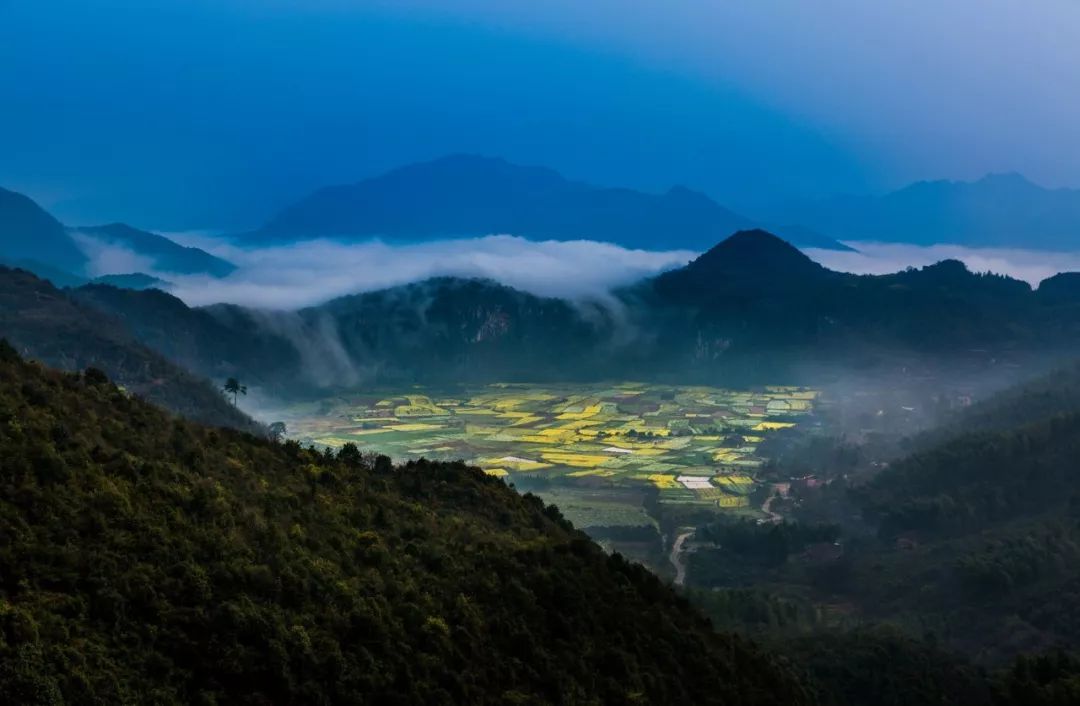 大片来袭!玉山最美的春天全放送