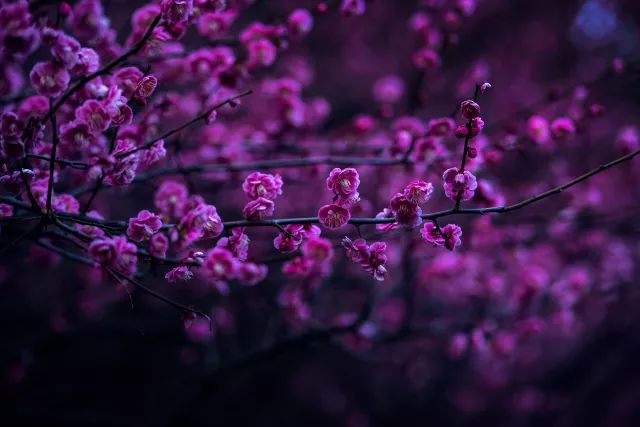 教育 正文 风吹红了桃花 雨淋绿了枝桠 姹紫嫣红 是斑斓"琉 璃 所有