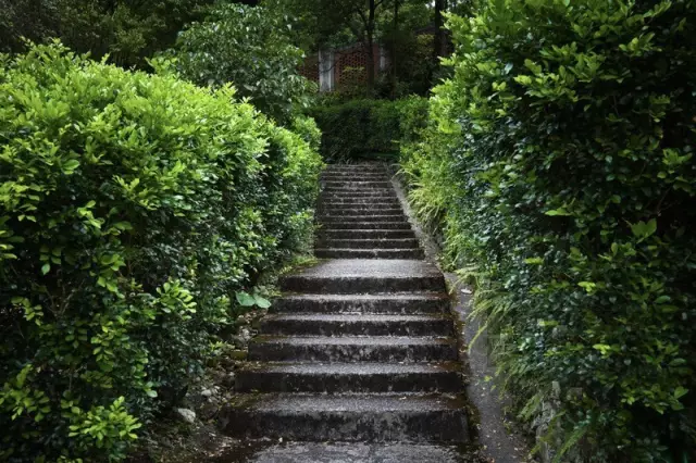 半山听雨简谱_半山听雨简谱洞箫(3)