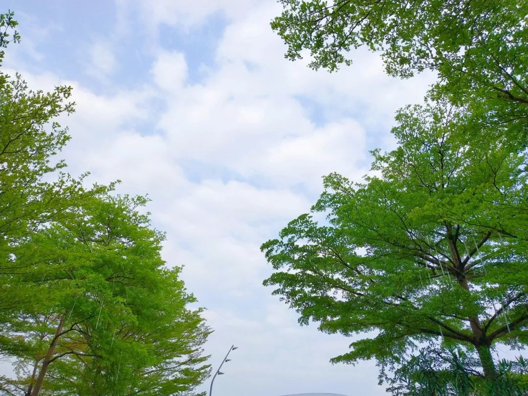 云没有那么多 但还是很适合出去浪里个浪的 比如我呀,趁着大好天气