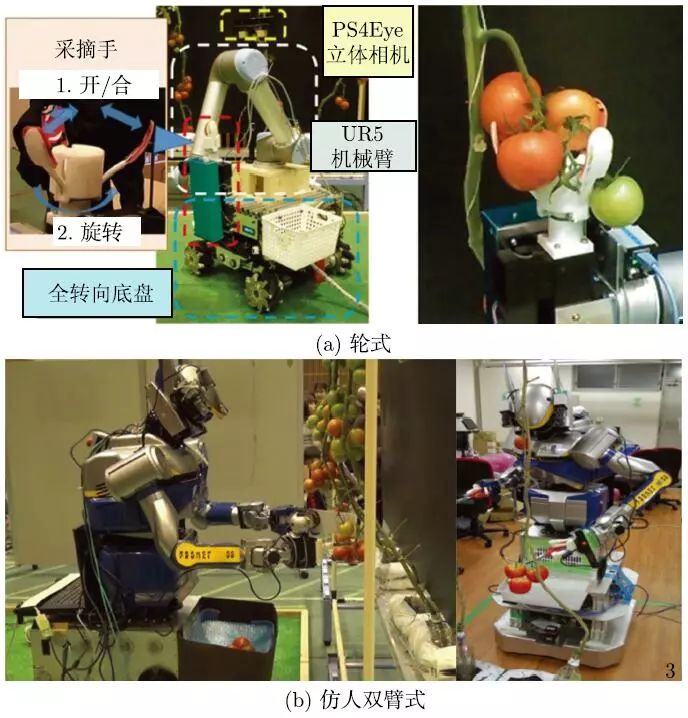 简易的轨道式番茄采摘机器人样机(图7,包括商用6 自由度串联式机械臂