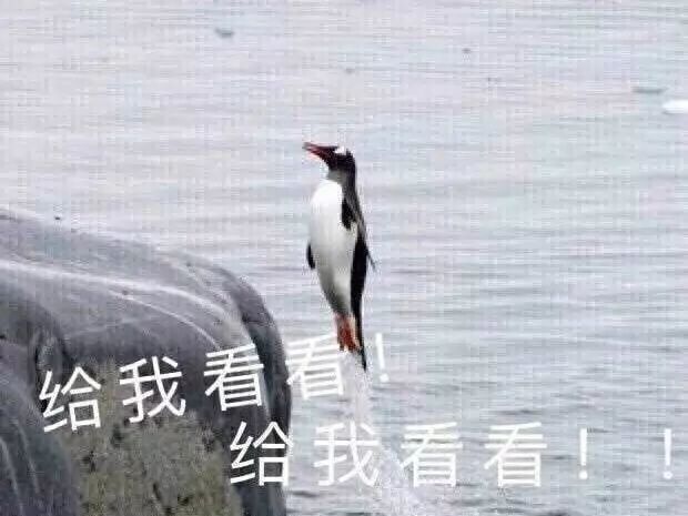 给我系我看看