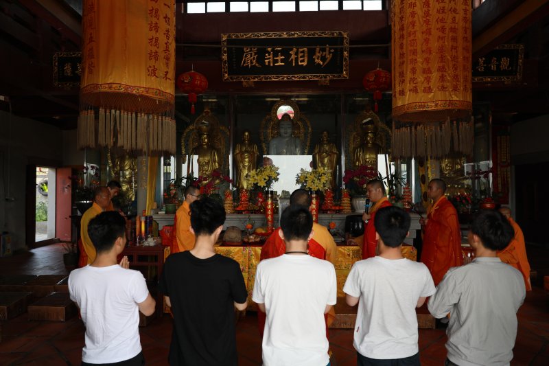 清明前夕 妙高山佛国寺茶园开茶