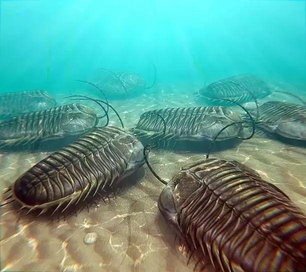 显生宙古生代寒武纪开始 13 ▲ 12月18日,海洋浮游生物出现;三叶虫