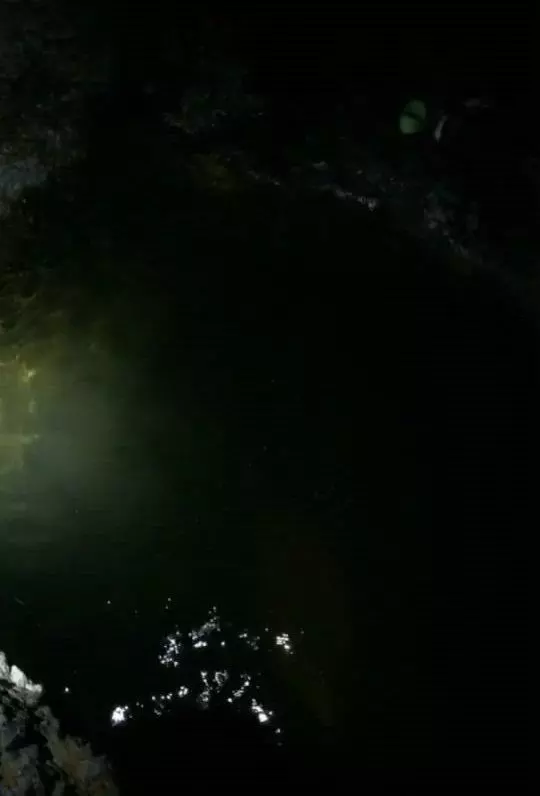 一头扎进漆黑深潭,几十米深水底,捞起"青龙鱼"