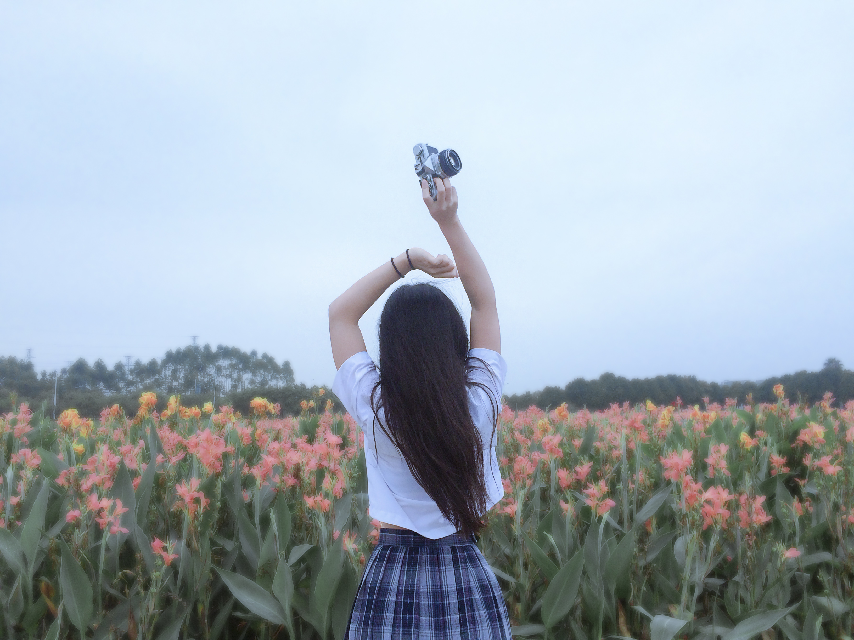 少女迎风飘起的长发,伫立在花海中留下的倩影,以及没有完结的故事.