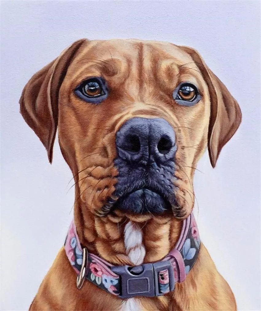 丨油画丨艺术家james画笔下的狗狗