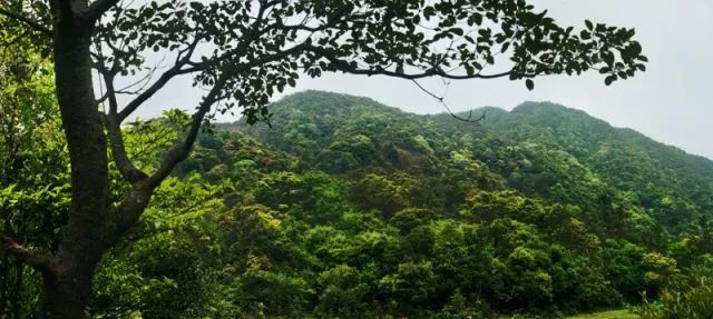 境内自然风光秀美,旅游资源丰富,拥有鹿湖顶,白马坪等特色景点和面积