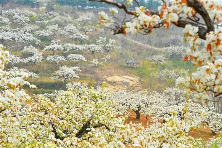 古人口吐芬芳