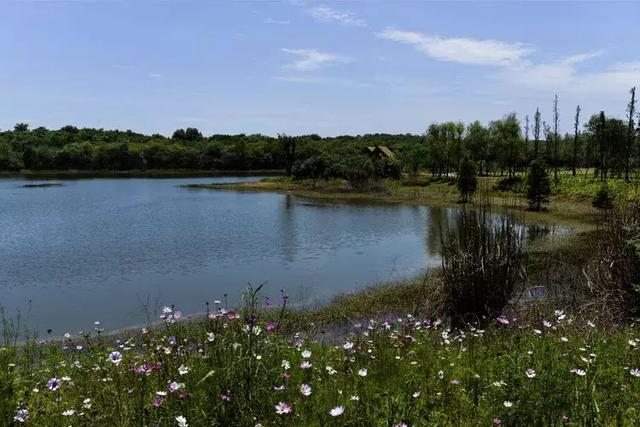by 完璧 青龙湖公园也就是十陵青龙湖湿地公园,是 成都市的"城市绿肺"