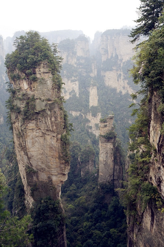 张家界旅游导游指南，张家界旅游指南推荐