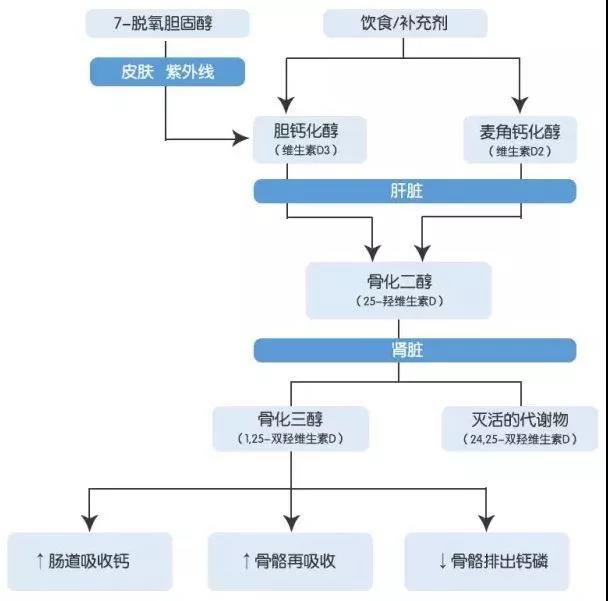 中国人黄皮肤怎么看