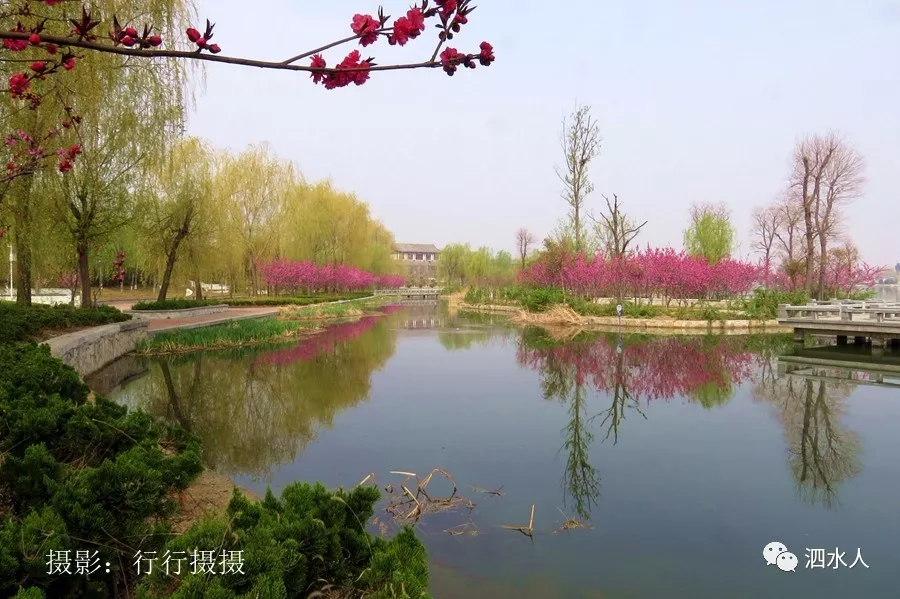 胜日寻芳泗水滨,无边光景一