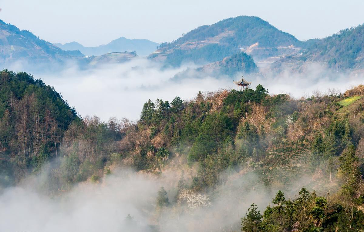 安徽绩溪赏油菜花的必去地梅干岭,清晨,云雾缭绕,婉如仙境一般