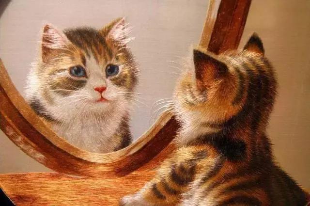 猫咪居然在安静的照镜子?原来是个湘绣