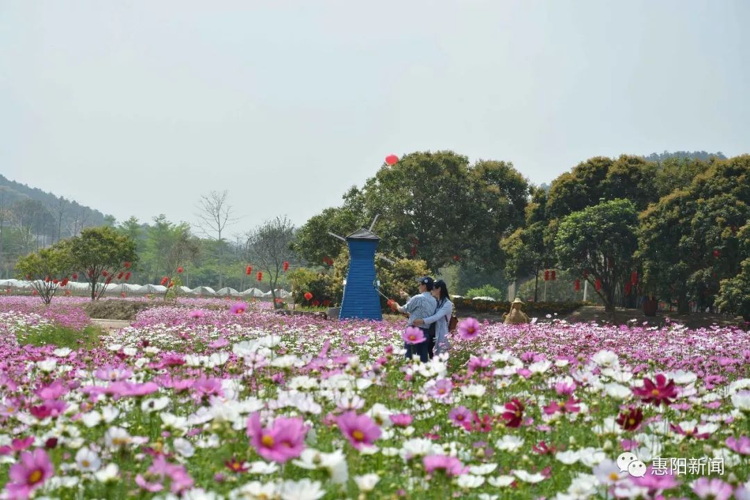 清明节小假期不知道去哪里?惠阳周边游攻略请收好!