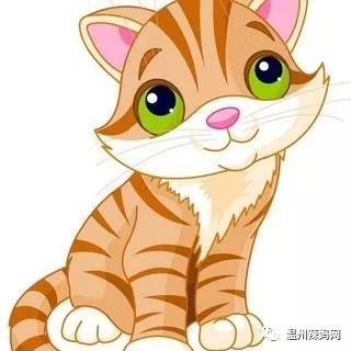 【听故事】小花猫盖了一座新房子,却没了朋友,到底是