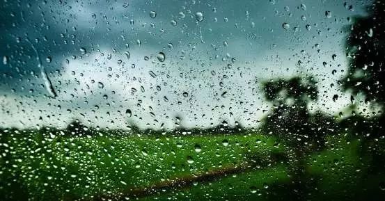 荐读| 清明时节雨纷纷,那些震颤心灵的句子值得珍藏