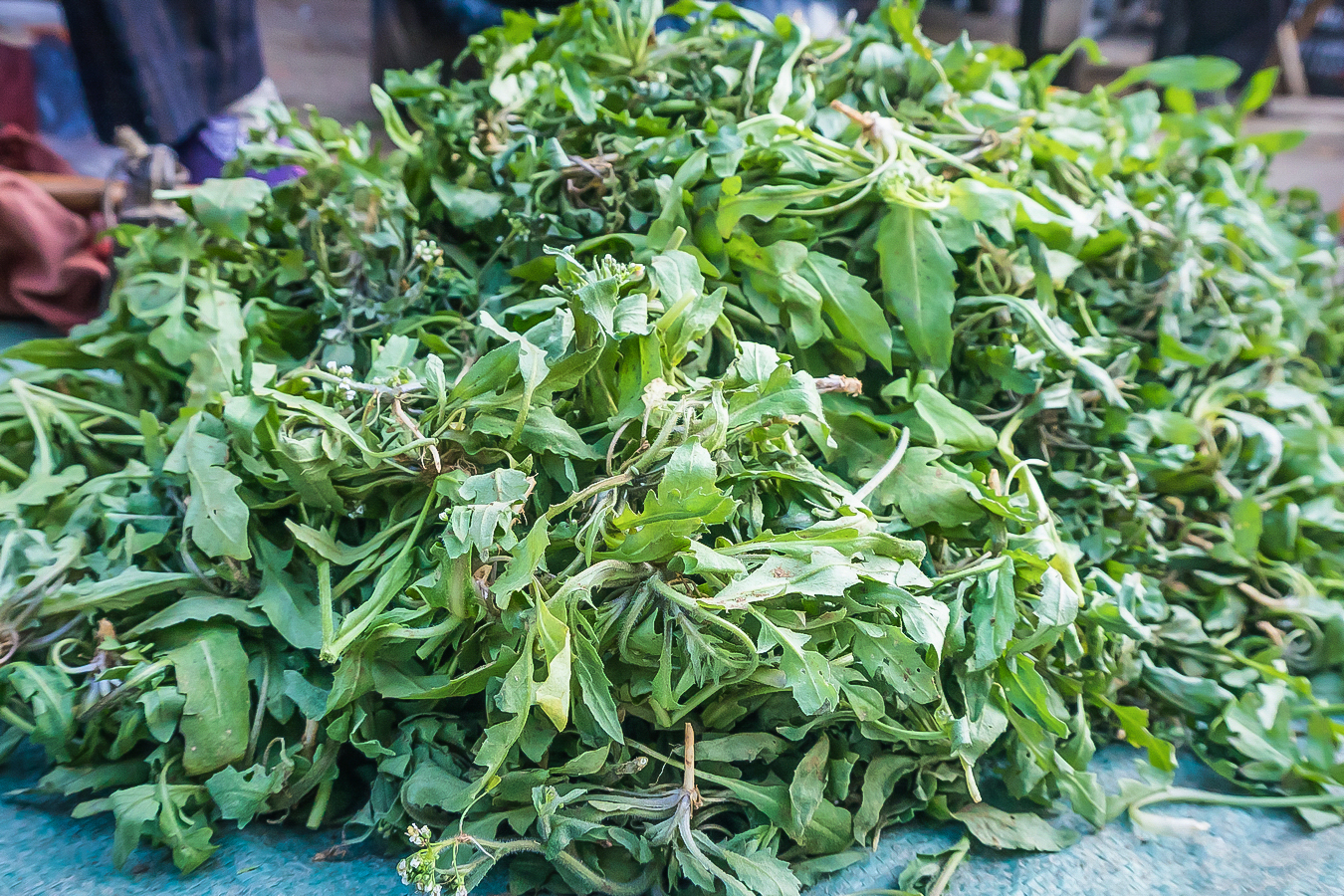 城里早市野菜摆满地你认识几种稀罕菜毛毛虫9元一斤