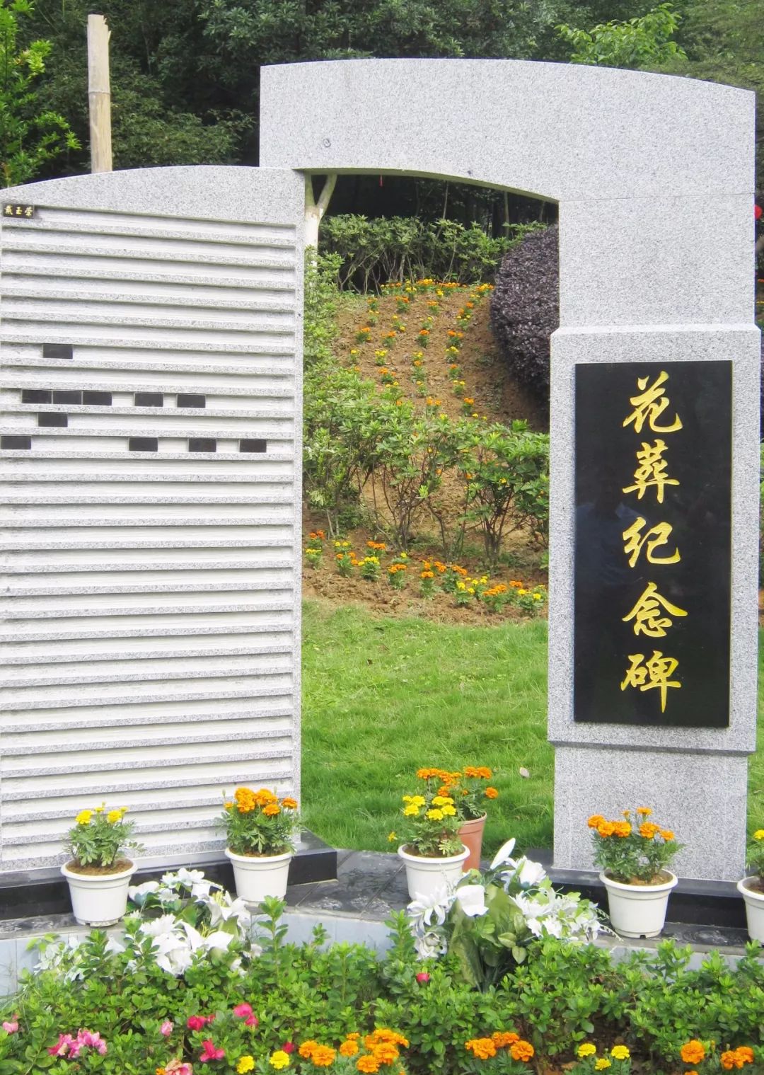 "以树(花)代墓",即在指定的公墓区内为死者植一棵树(一株花),在树(花