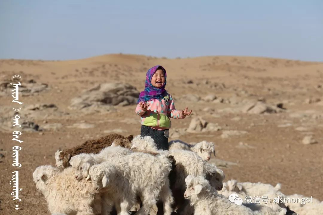 蒙古牧民人口_蒙古牧民生活图片