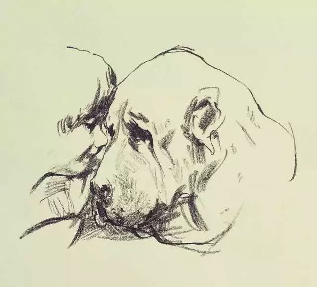 十大猛犬素描画,艺术与野性的碰撞