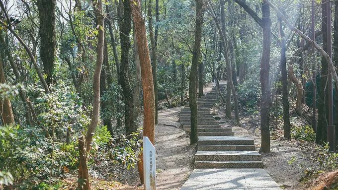 杭州登山步道攻略 踏青隐逸处,不负好春光