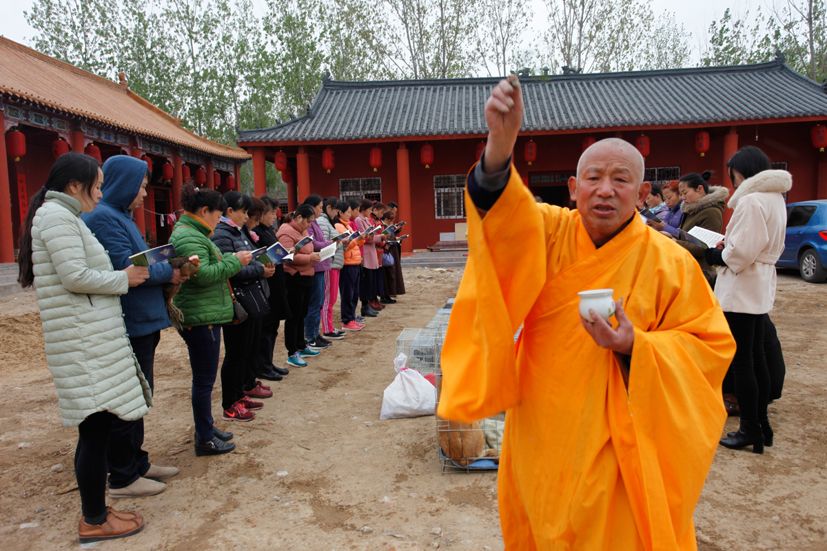 今天是妙善公主三皇姑的生日平顶山人都用放生来纪念