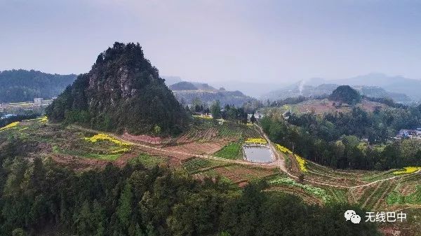 镜头丨笔山梯田春正好