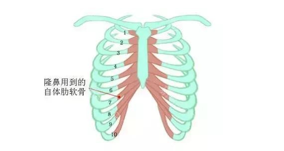 隆鼻就像爱情,一定要选择最适合的!